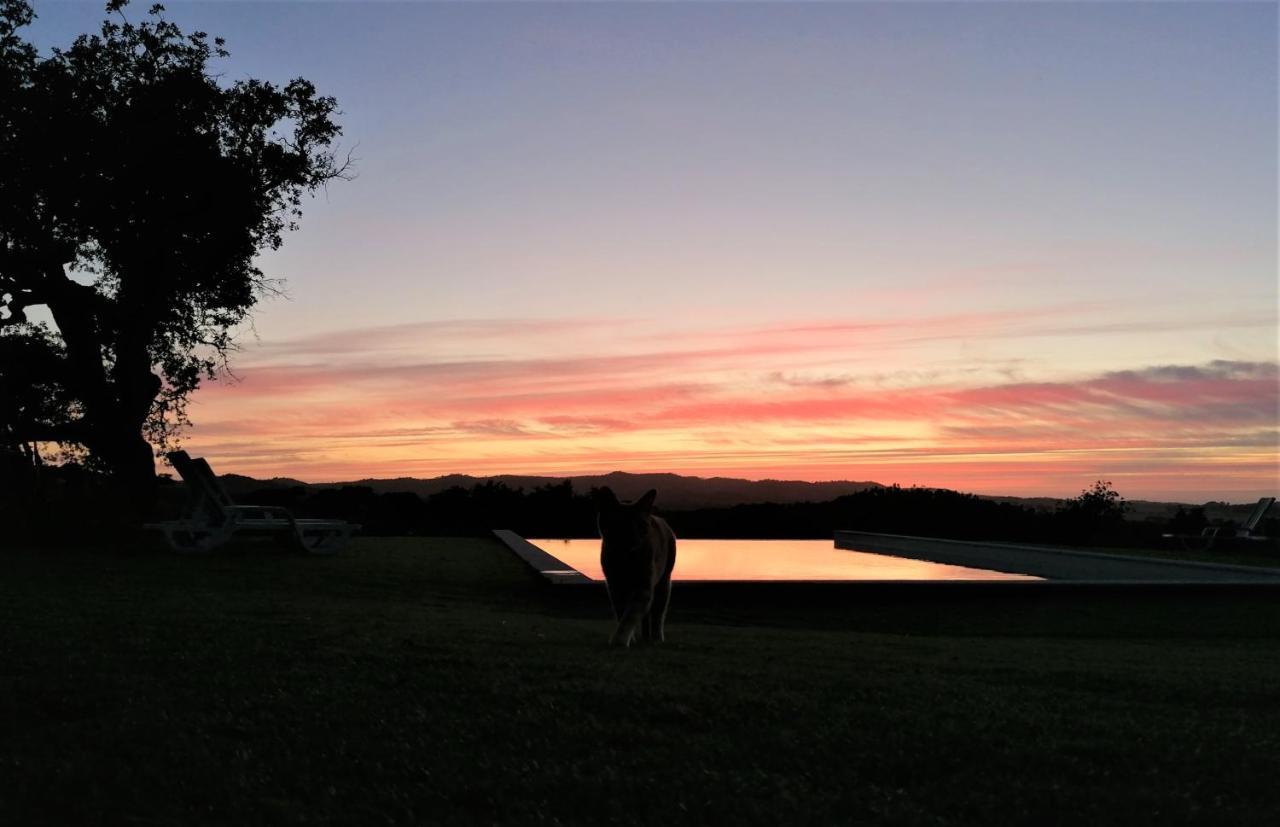 Dias Distintos - Turismo Rural Colos  ภายนอก รูปภาพ
